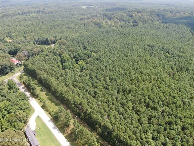 A prime investment opportunity with approximately 205 acres of - photo 9