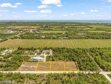 Need room to spread out! Cleared 1/2 acre lot with two adjacent - photo 1
