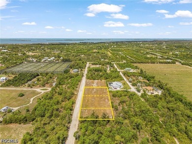 Need room to spread out! Cleared 1/2 acre lot with two adjacent - photo 4