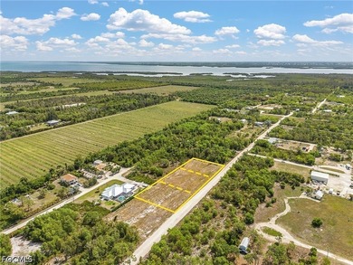 Need room to spread out! Cleared 1/2 acre lot with two adjacent - photo 5