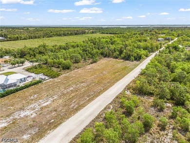 Need room to spread out! Cleared 1/2 acre lot with two adjacent - photo 8