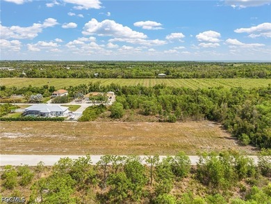 Need room to spread out! Cleared 1/2 acre lot with two adjacent - photo 9