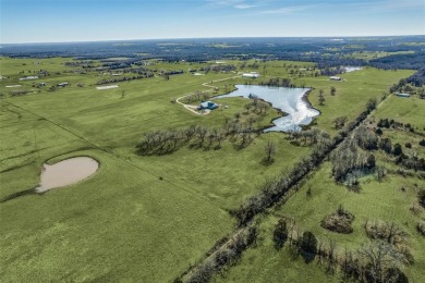 Lake Home For Sale in Whitesboro, Texas