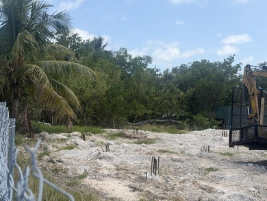 BUILD TODAY! Rare shovel-ready lot in the heart of Ramrod Key -- - photo 5