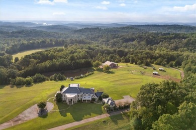 Perched atop 40 acres of pristine South Carolina countryside - photo 12