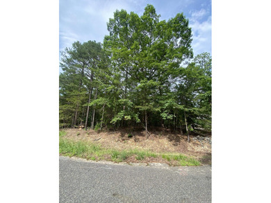 Lake Balboa Lot For Sale in Hot Springs Village Arkansas