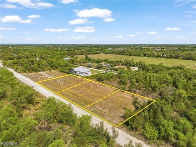 Need room to spread out! Cleared 1/2 acre lot with two adjacent - photo 3
