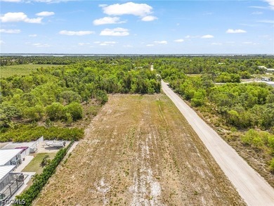 Need room to spread out! Cleared 1/2 acre lot with two adjacent - photo 7