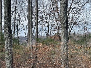 Excellent opportunity to own this .89 acre lake view lot and - Lake Lot For Sale in Russell Springs, Kentucky