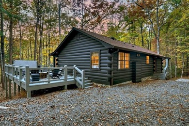 Cherry Log Lake Home For Sale in Cherry Log Georgia