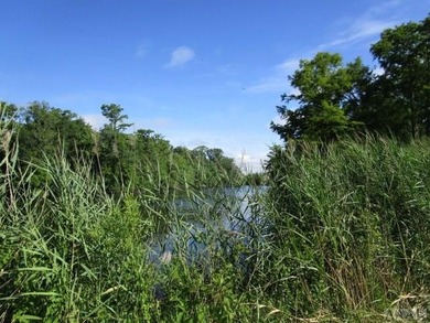 Looking for large tract of land on the river & Creek? That is - photo 11