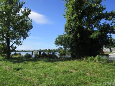 Looking for large tract of land on the river & Creek? That is - photo 12