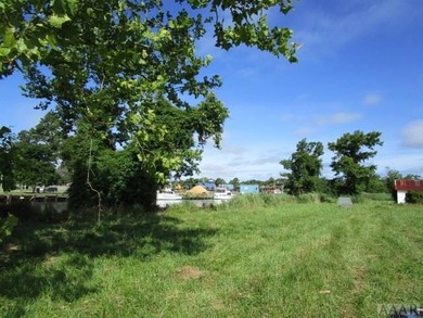 Looking for large tract of land on the river & Creek? That is - photo 14