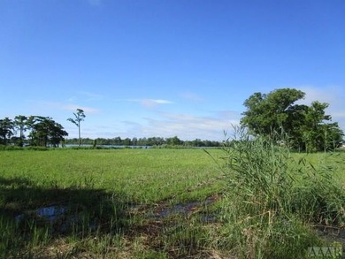 Looking for large tract of land on the river & Creek? That is - photo 15