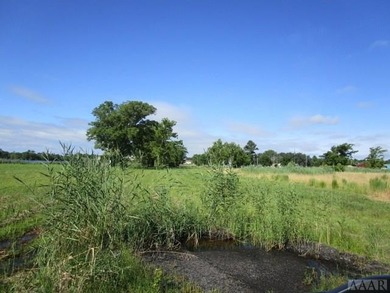 Looking for large tract of land on the river & Creek? That is - photo 17