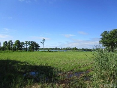 Looking for large tract of land on the river & Creek? That is - photo 19