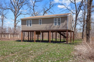 Mississippi River - Pike County Home For Sale in Elsberry Missouri
