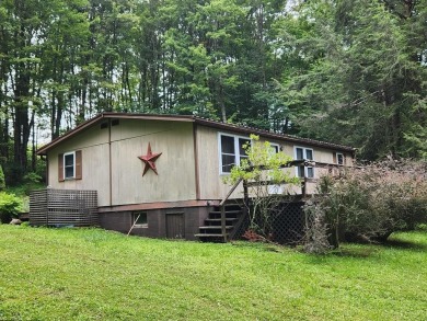 (private lake, pond, creek) Home For Sale in Muncy Valley Pennsylvania