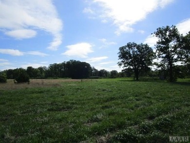 Looking for large tract of land on the river & Creek? That is - photo 23