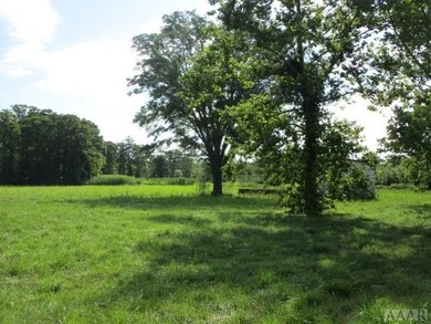 Looking for large tract of land on the river & Creek? That is - photo 25