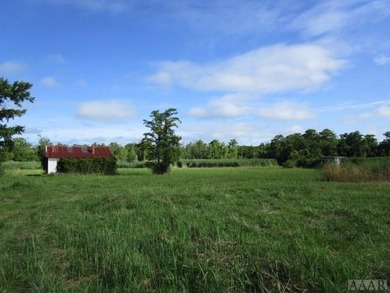Looking for large tract of land on the river & Creek? That is - photo 26