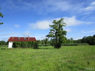 Looking for large tract of land on the river & Creek? That is - photo 32