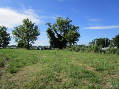 Looking for large tract of land on the river & Creek? That is - photo 33