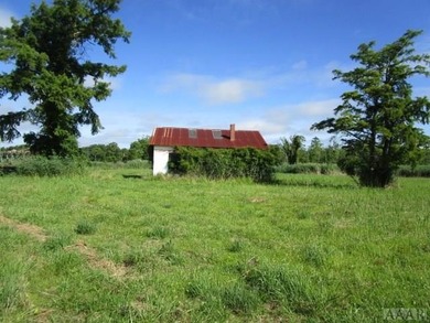 Looking for large tract of land on the river & Creek? That is - photo 35