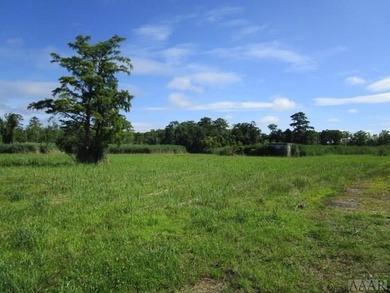Looking for large tract of land on the river & Creek? That is - photo 36