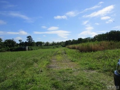 Looking for large tract of land on the river & Creek? That is - photo 37