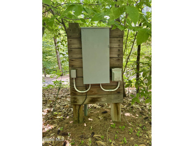 Beautiful lot with deeded access to the Hudson River!!! Build - photo 9