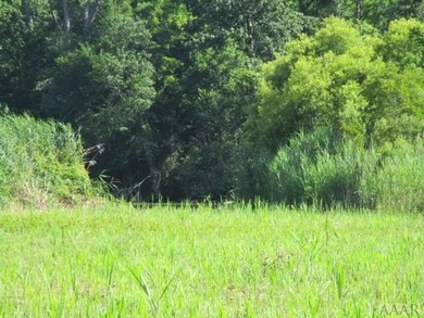 Looking for large tract of land on the river & Creek? That is - photo 39