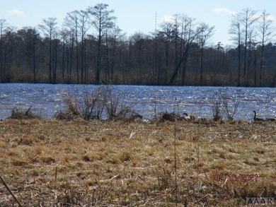 Looking for large tract of land on the river & Creek? That is - photo 40