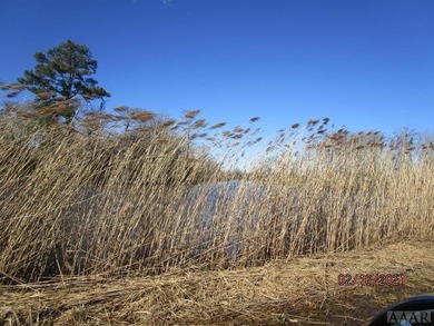 Looking for large tract of land on the river & Creek? That is - photo 42