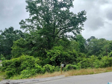 Lake Lot For Sale in Talladega, Alabama