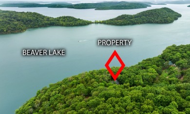 Discover Lakefront Livinq: Remodeled 3BR/3BA Home with Boat Slip - photo 2