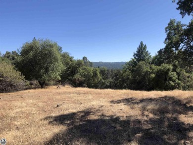 Possibilities Possibilities! This three acre lot is located at - Lake Lot For Sale in Groveland, California