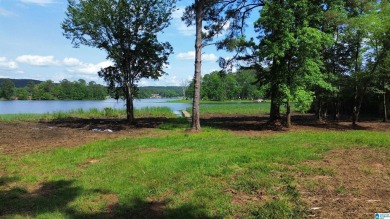 Lake Lot Sale Pending in Sylacauga, Alabama