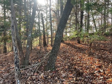 Coosawattee River - Gilmer County Lot For Sale in Ellijay Georgia