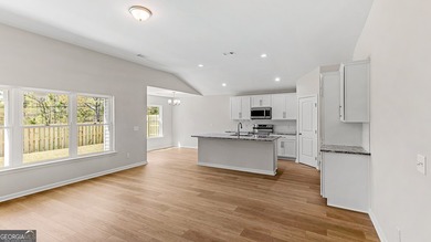 The Holly plan by Smith Family Homes is under construction in - photo 11