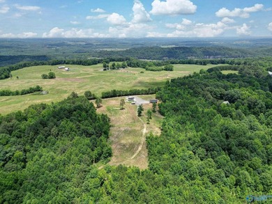(private lake, pond, coastal) Acreage For Sale in Blountsville Alabama