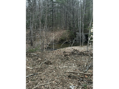 A beautiful lot with a stream and a unique rock bridge in the - photo 8