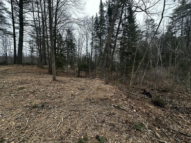 A beautiful lot with a stream and a unique rock bridge in the - photo 10