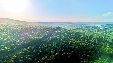 120 +/- acres of prime hunting and recreational land near Lona - photo 2