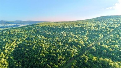 120 +/- acres of prime hunting and recreational land near Lona - photo 3