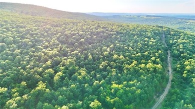 120 +/- acres of prime hunting and recreational land near Lona - photo 6