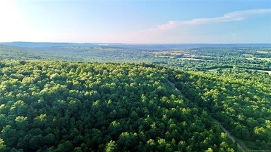 120 +/- acres of prime hunting and recreational land near Lona - photo 8