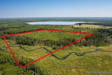 (private lake, pond, creek) Lot For Sale in Alborn Minnesota