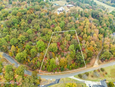 Awsome 1st tier Lakeview lot with great ''Unblockable SUNRISE - photo 5