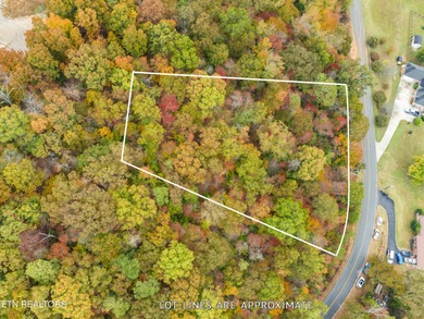 Awsome 1st tier Lakeview lot with great ''Unblockable SUNRISE - photo 6